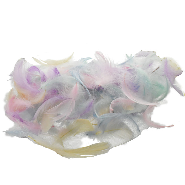 Feathers Pastel Mixed Colors, 100-Piece