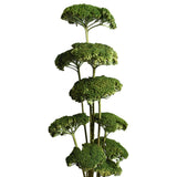 Dried Natural Yarrow Flower Bundle