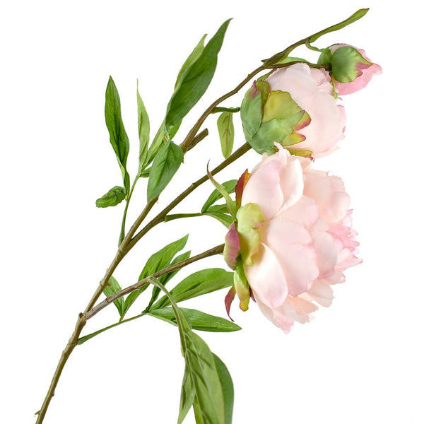 Blooming Silk Peony Spray Branch, 28-Inch, Misty Rose