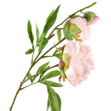 Blooming Silk Peony Spray Branch, 28-Inch