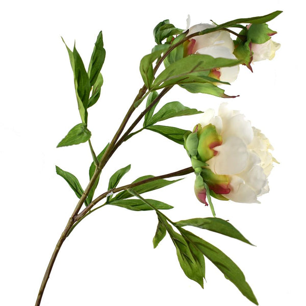 Blooming Silk Peony Spray Branch, 28-Inch, Seashell