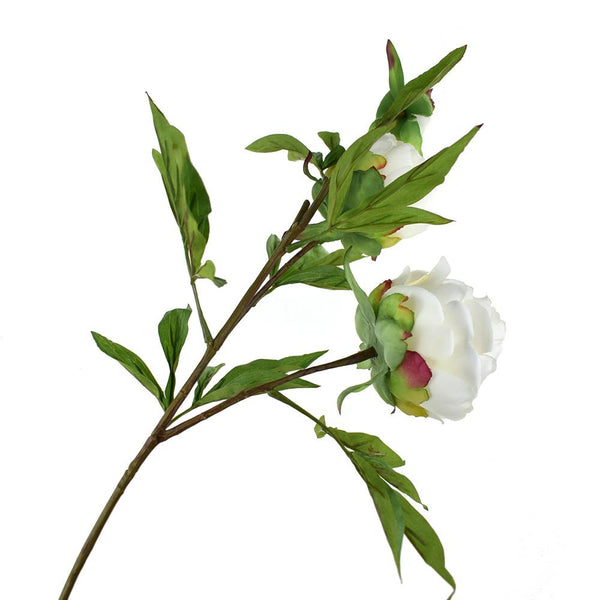 Blooming Silk Peony Spray Branch, 28-Inch, White