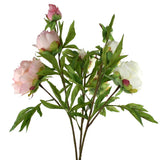 Blooming Silk Peony Spray Branch, 28-Inch