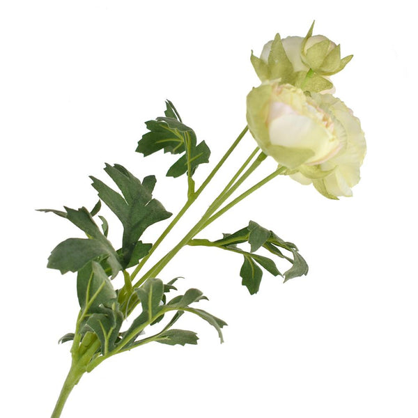 Blooming Silk Buttercup Ranunculus Spray, Cream, 27-Inch