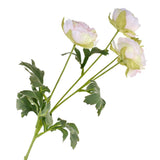 Blooming Silk Buttercup Ranunculus Spray, 27-Inch