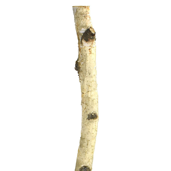 Natural Birch Wood Pole, 24-Inch