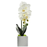 Artificial Moth Orchid with Square Pot, 20-Inch