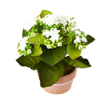 Artificial Silk Kalanchoe Flower Pot, 8-Inch
