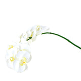 Tall Artificial Manhattan Orchid Stem, 42-Inch