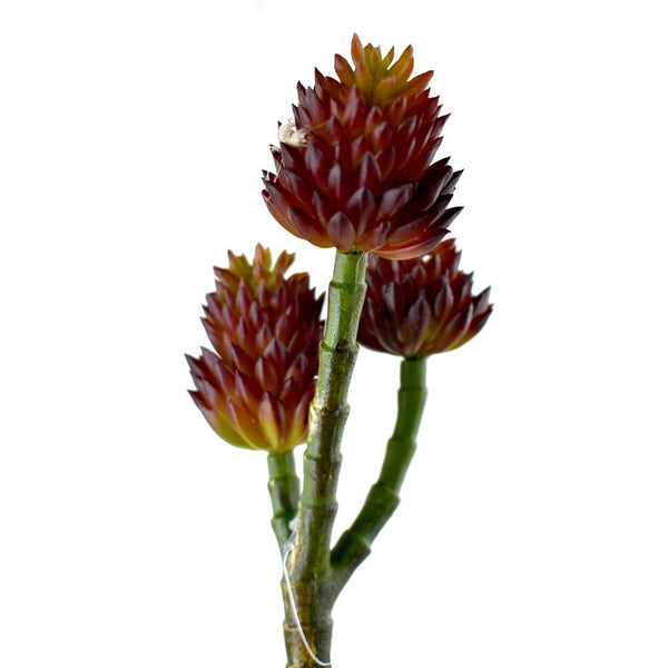 Artificial 3-Branch Succulent Set, Burgundy, 7-1/2-Inch