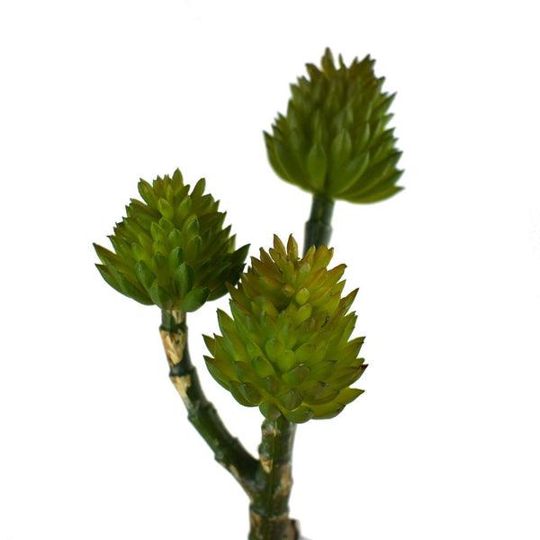 Artificial 3-Branch Succulent Set, Green, 7-1/2-Inch