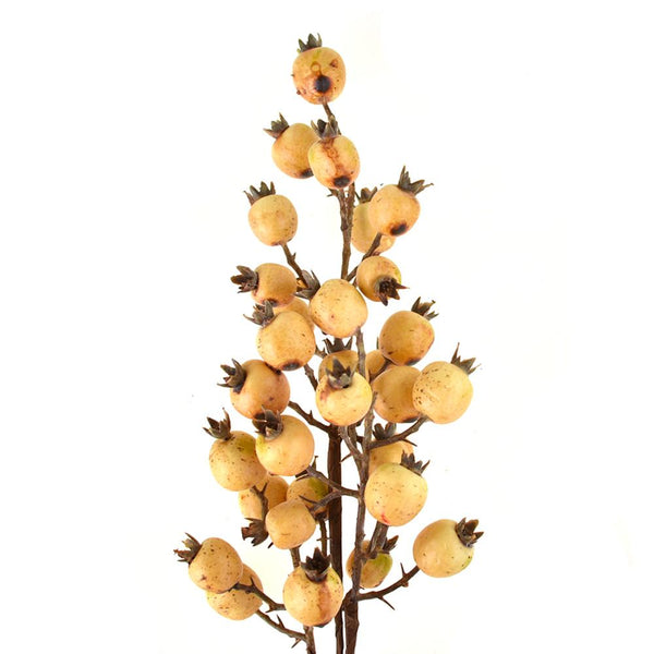 Tall Artificial Pomegranate Spray, Cream, 33-Inch