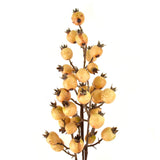 Tall Artificial Pomegranate Spray, 33-Inch