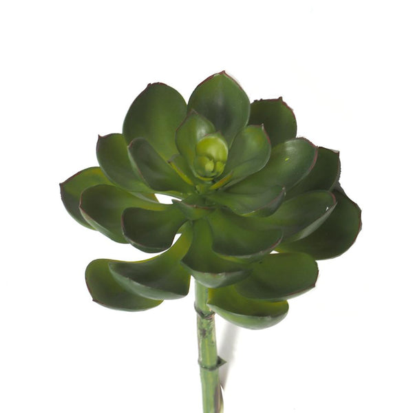 Artificial Spread Out Succulent, Green, 7-Inch
