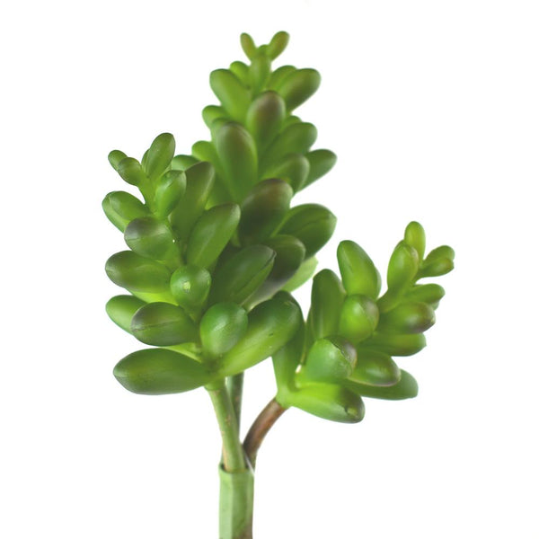 Artificial StoneCrop Succulent, Green, 10-Inch