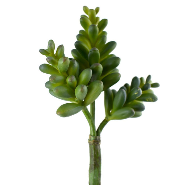 Artificial StoneCrop Succulent, Dark Green, 9-Inch