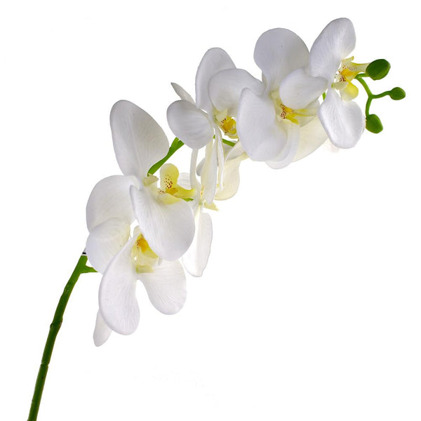 Deluxe Artificial Orchid Stem, 31-Inch, White