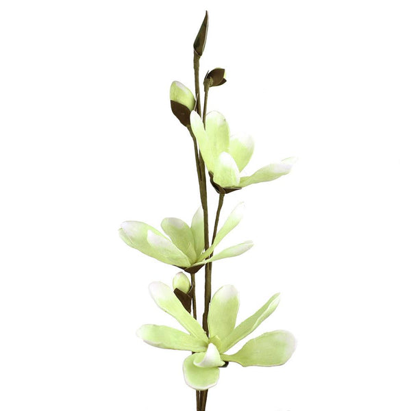 Blooming Foam Magnolia Spray Branch, 38-Inch, Light Green