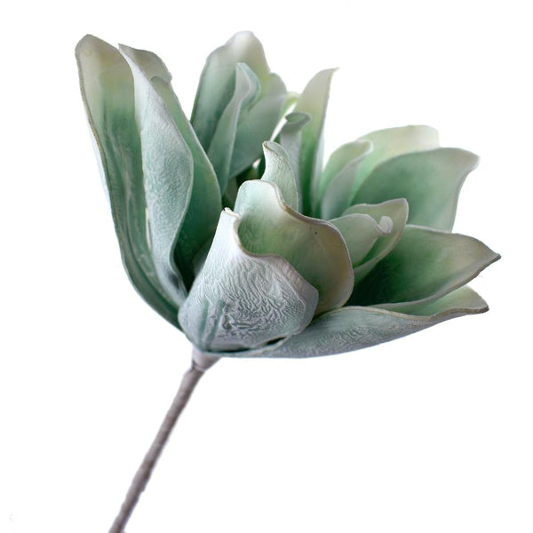 Blooming Floral Foam New Dahlia Stem, 36-Inch, Aqua