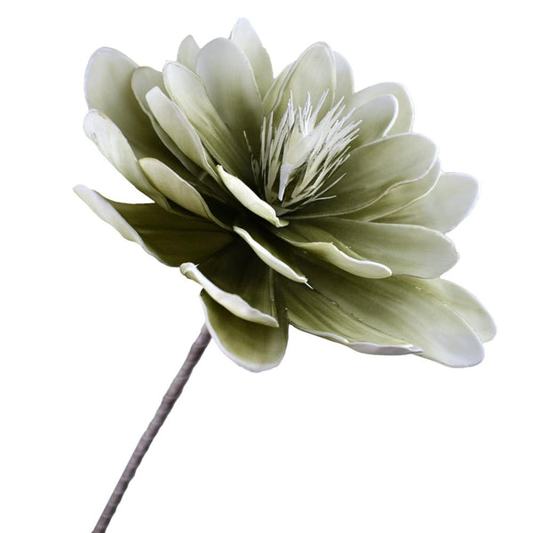Blooming Floral Foam Magnolia Stem, 30-Inch, Green