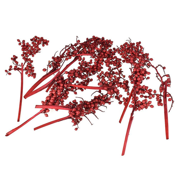 Dried Natural Canella Berries Bundle, Red