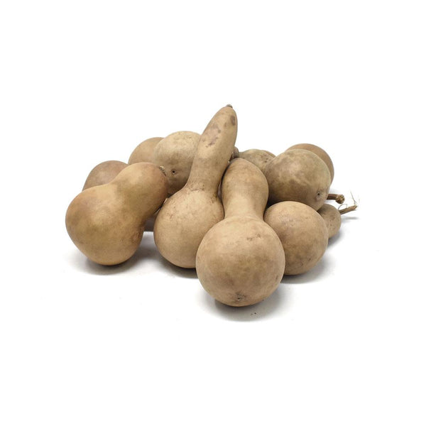 Preserved Field Gourd Bowl Filler, Natural, 10-Piece