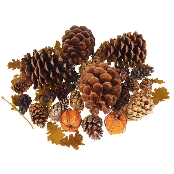 Dried Scented Pine Cones Natural Forms with Mini Pumpkins, 40-Piece