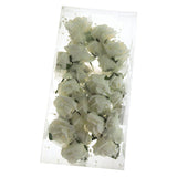 Foam Rose Flower with Pearl Beads, 5-1/2-Inch, 12-Count