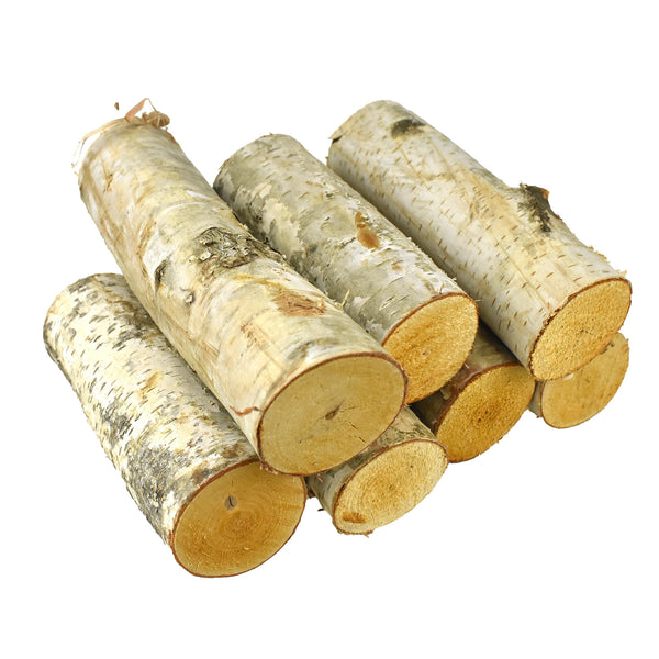Natural Birch Tree Ends, 7-Piece