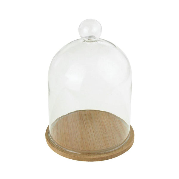 Clear Glass Dome Display with Wooden Base, 6-Inch