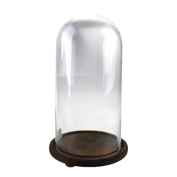 Glass Dome with Wood Base, 13-Inch