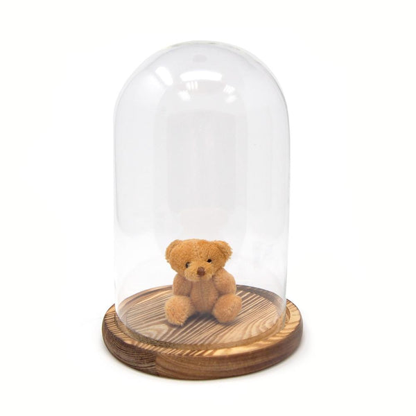 Clear Glass Dome Display with Wooden Base, 8-Inch