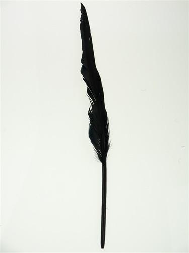 Duck Feather Decorative, 14-inch, 10-Piece, Black