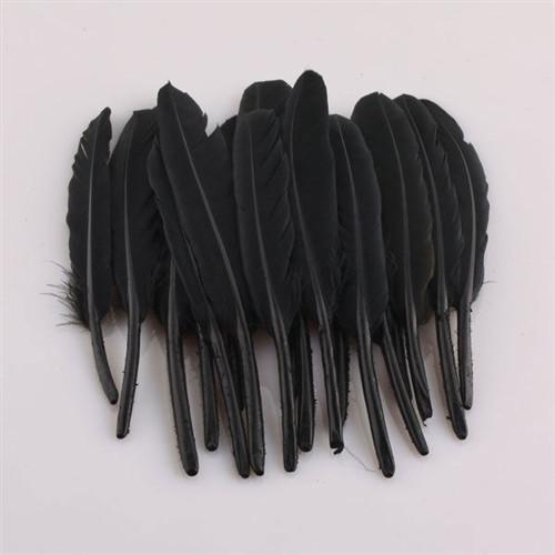 Duck Feather Decorative, 6-inch, 50-Piece, Black