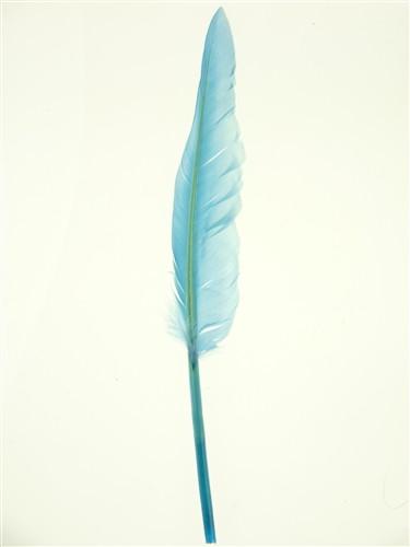 Duck Feather Decorative, 14-inch, 10-Piece, Light Blue