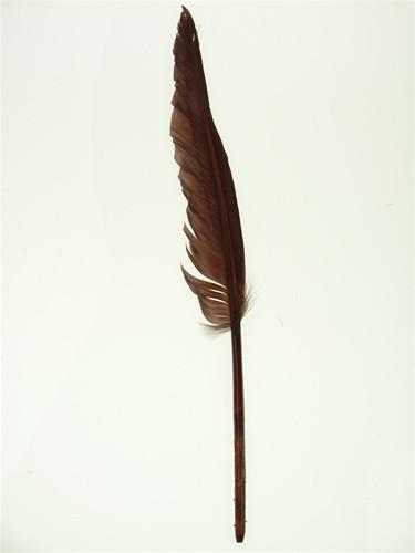 Duck Feather Decorative, 14-inch, 10-Piece, Brown