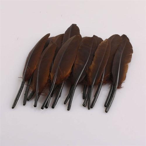 Duck Feather Decorative, 6-inch, 50-Piece, Brown