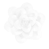 Paper Daisy Wall Flower, 11-1/2-Inch