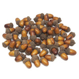 Artificial Decorative Acorns Fall Harvest, 1-Inch, 60-Count