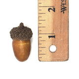 Artificial Decorative Acorns Fall Harvest, 1-Inch, 60-Count