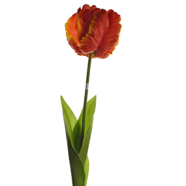 Artificial Parrot Tulip Stem, Coral, 26-Inch