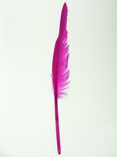 Duck Feather Decorative, 14-inch, 10-Piece, Fuchsia