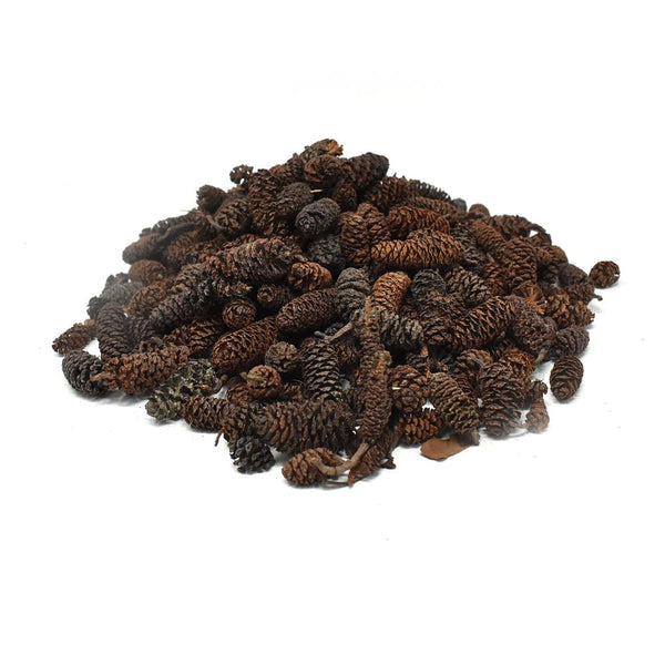 Preserved Birch Cones, Natural, 4-Ounce
