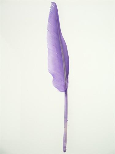 Duck Feather Decorative, 14-inch, 10-Piece, Lavender