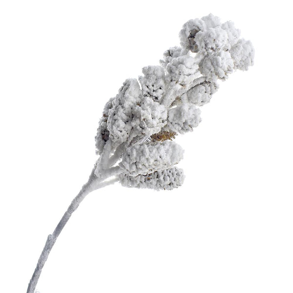 Winter Frosted Pine Cone Spray, 17-Inch