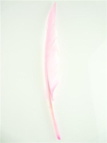 Duck Feather Decorative, 14-inch, 10-Piece, Light Pink