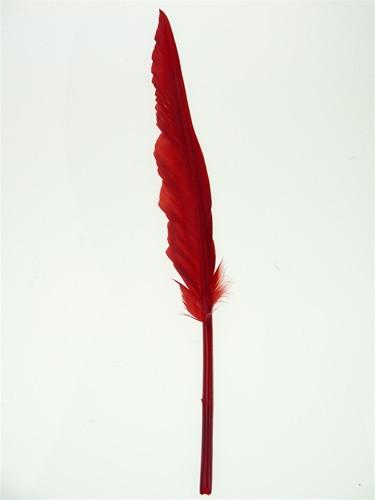 Duck Feather Decorative, 14-inch, 10-Piece, Red