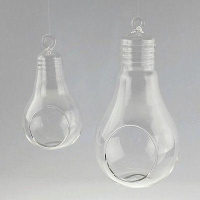 Bulb Glass Terrarium Air Plant Home Decor, 8-1/4-Inch
