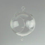 Hanging Glass Globe Terrarium Air Plant Candle Holder Christmas Ornament