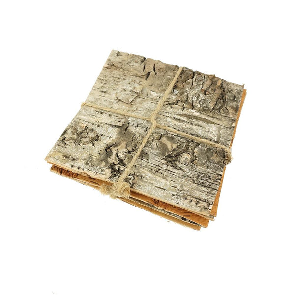 Square Birch Bark Bundle, 4-3/4-Inch, 6-Count